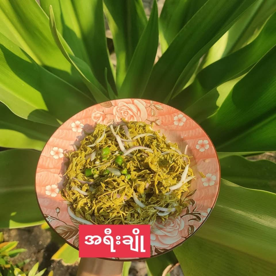 အရီးချို မန်ကျည်းချဉ်