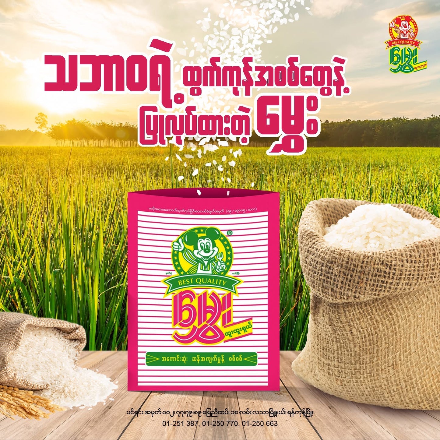 မွှေး ဆန်အကျက်မှုန့်