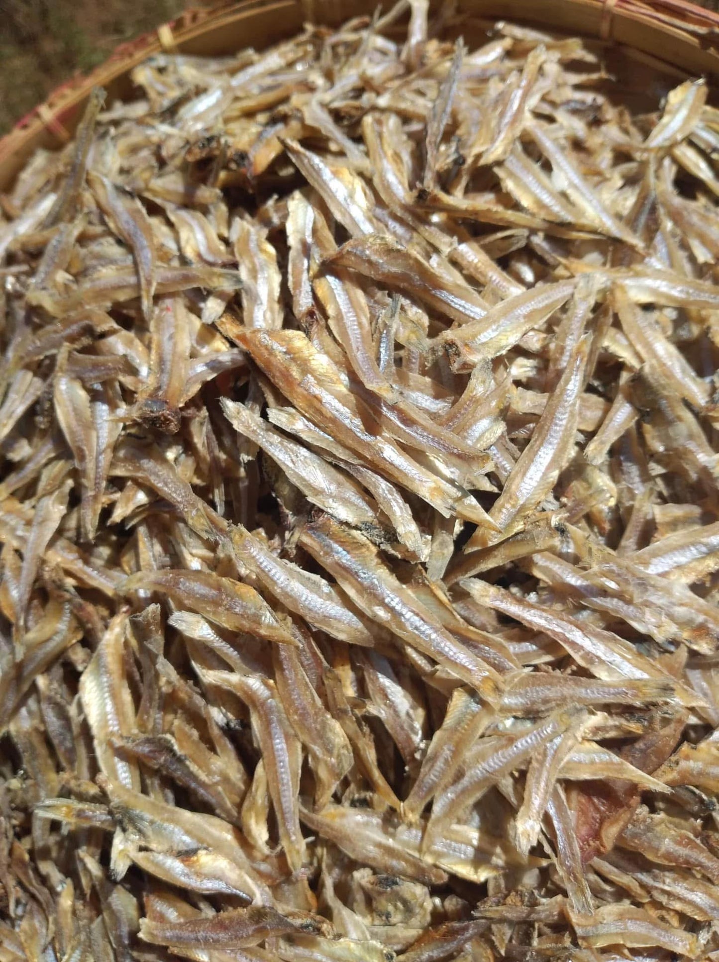 Tomo ငါးနီတူခြောက်