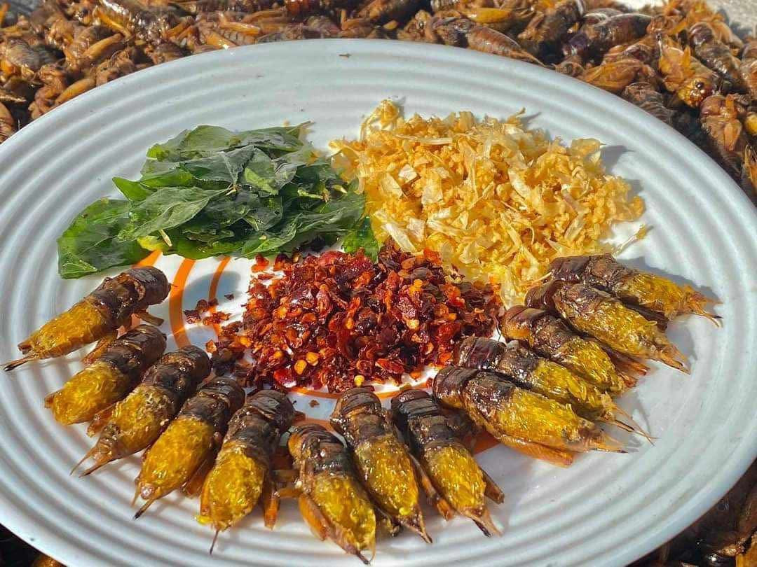 Made in Mandalay ကသာ ပုရစ်ကြော် အမဥပါ အကောင် ၁၀၀