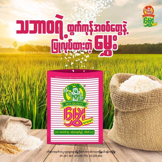 မွှေး ဆန်အကျက်မှုန့်