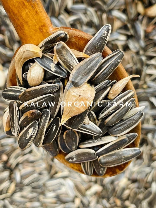 Kalaw Organic Farm နေကြာစေ့လှော်